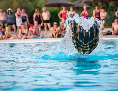 Pool Party